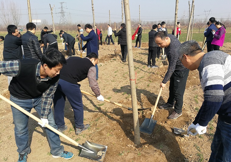 市残联组织参加植树活动